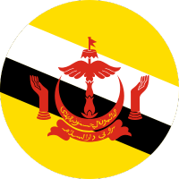 brunei flagflag