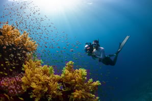 Teaching Environmental Writing