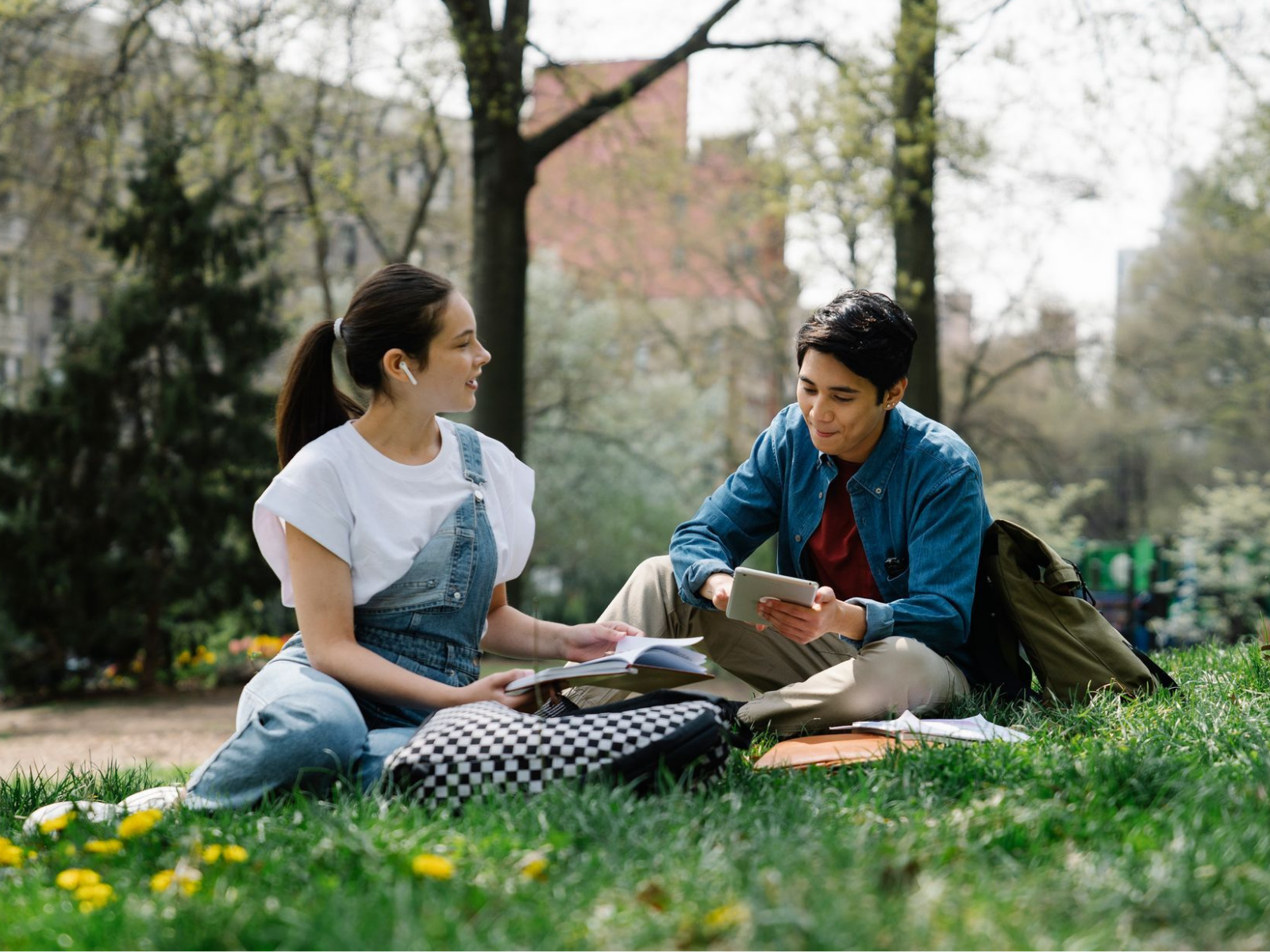 Environmental Writing Prompts for Middle School & High School Students